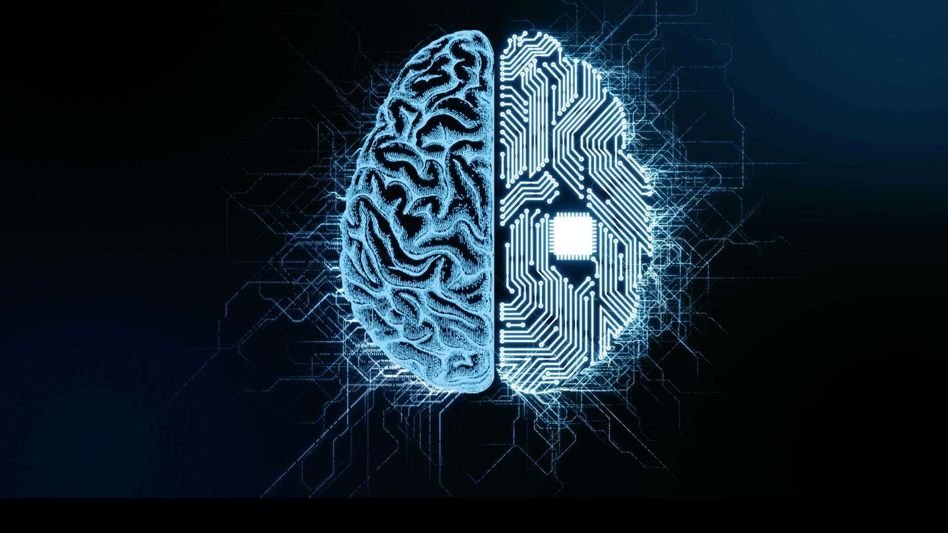 Artificial brain Network