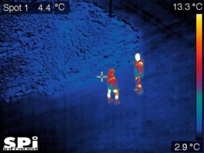 aerial thermal image with reticle and temperature measurement